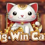 Cara Memakai Pola Dalam Bermain Big Bass Bonanza Terbaru